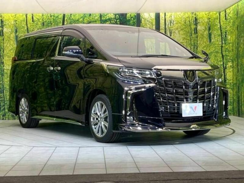 ALPHARD-18