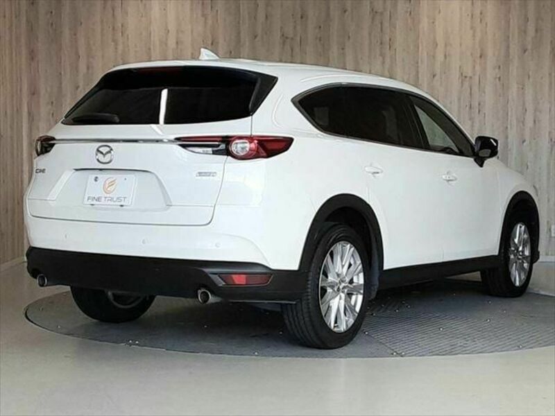 CX-8-19