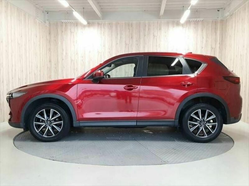 CX-5-19