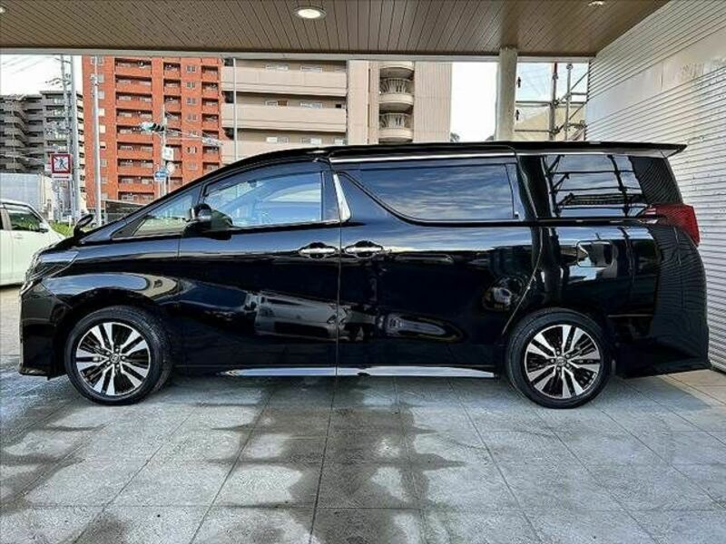 ALPHARD-10