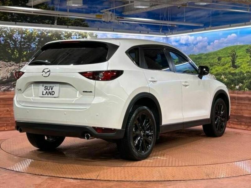 CX-5-17