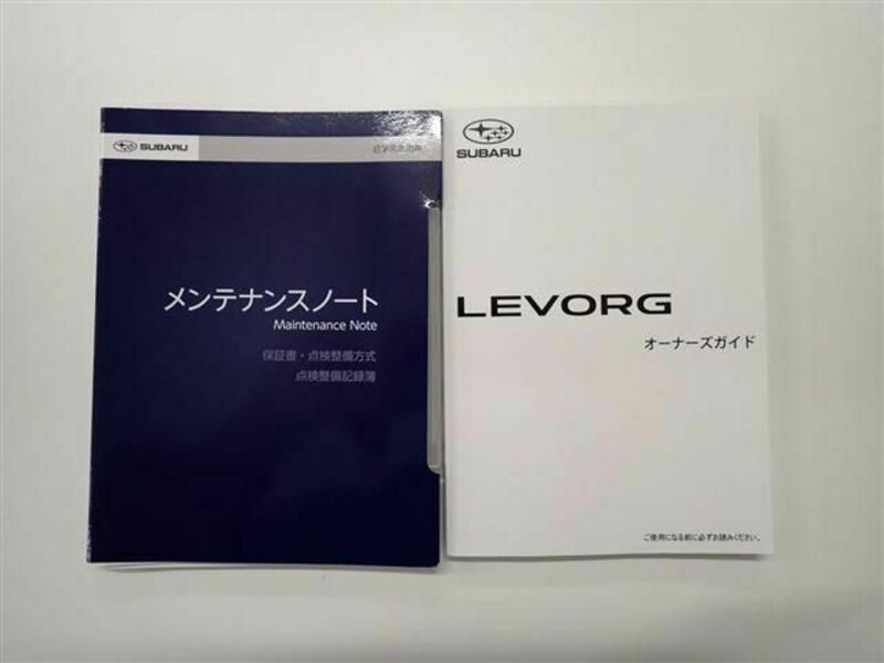 LEVORG-2