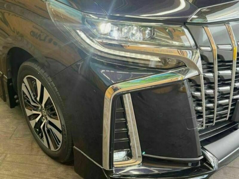 ALPHARD-13