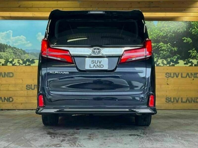 ALPHARD-16