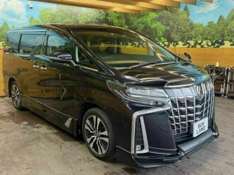 ALPHARD-17