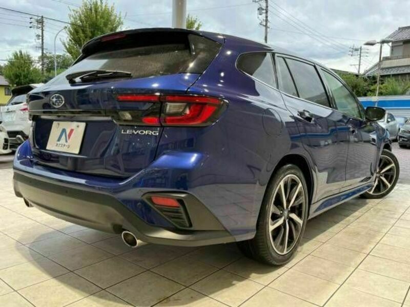 LEVORG-19