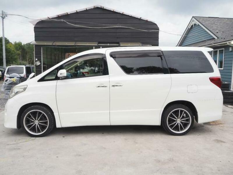 ALPHARD-7