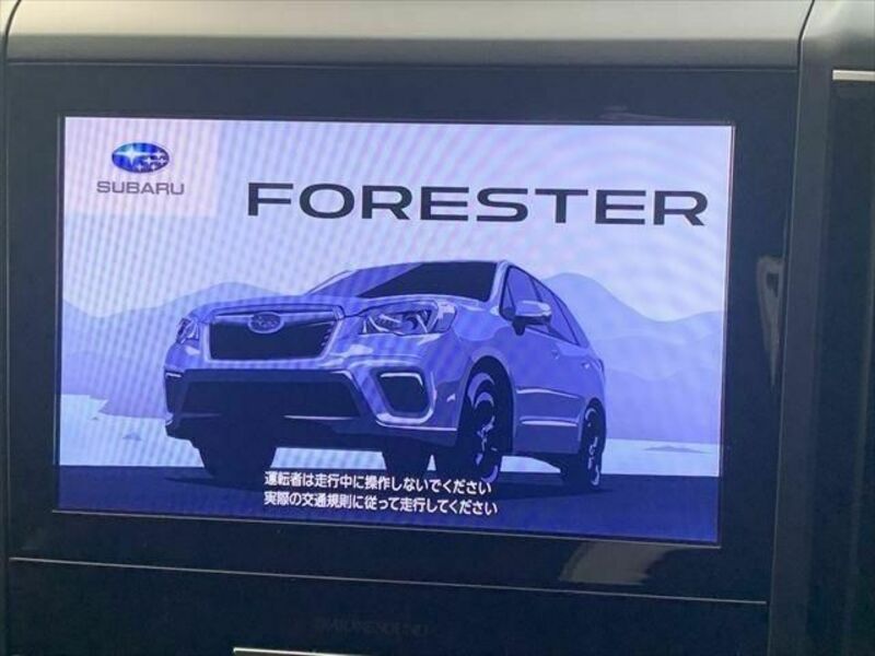 FORESTER-2