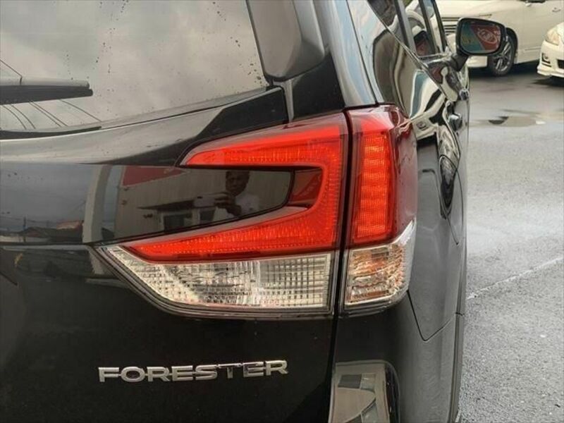 FORESTER-22