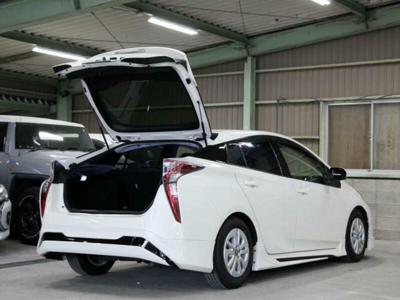 PRIUS-16