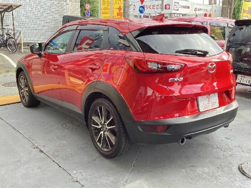 CX-3-8