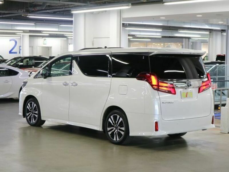 ALPHARD-6