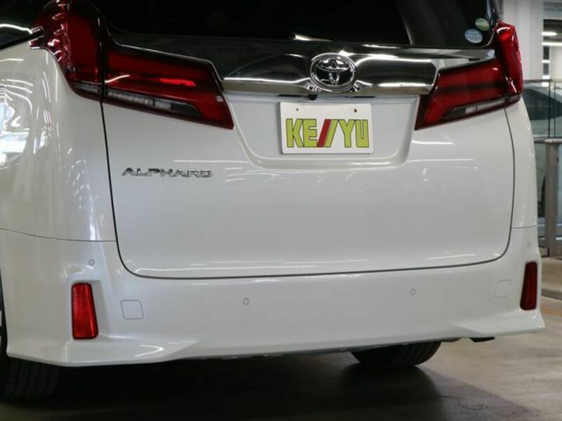 ALPHARD-28