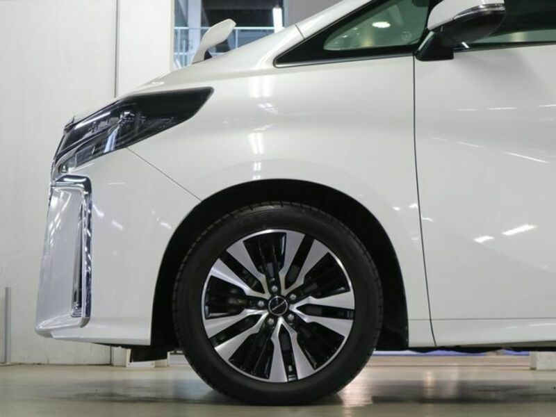 ALPHARD-29