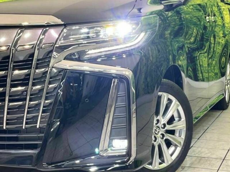 ALPHARD-12