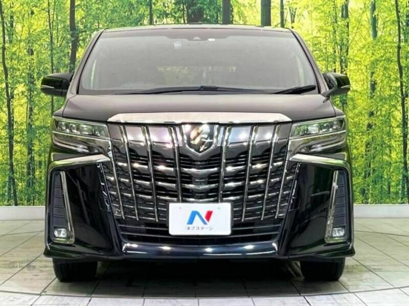 ALPHARD-14