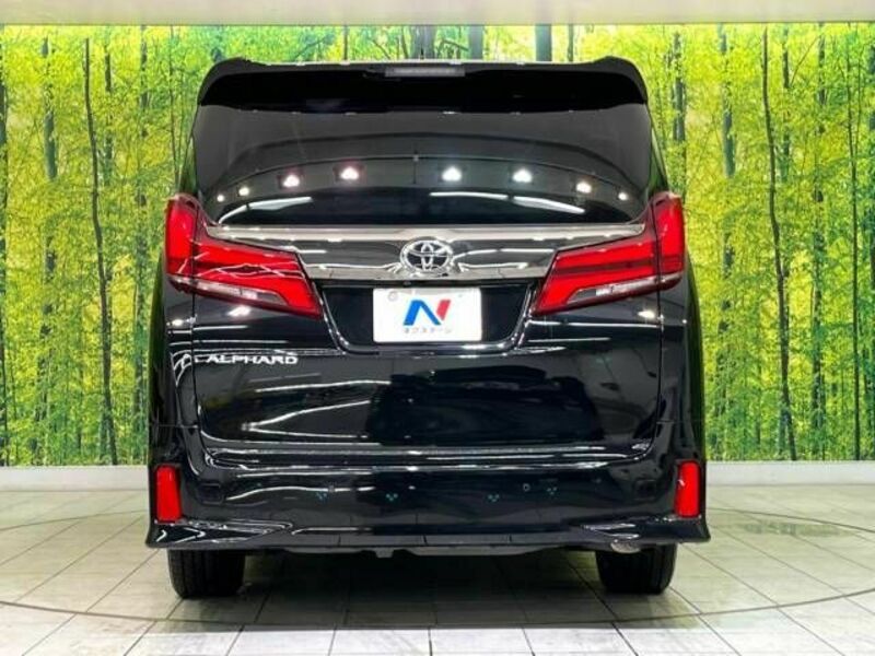 ALPHARD-15