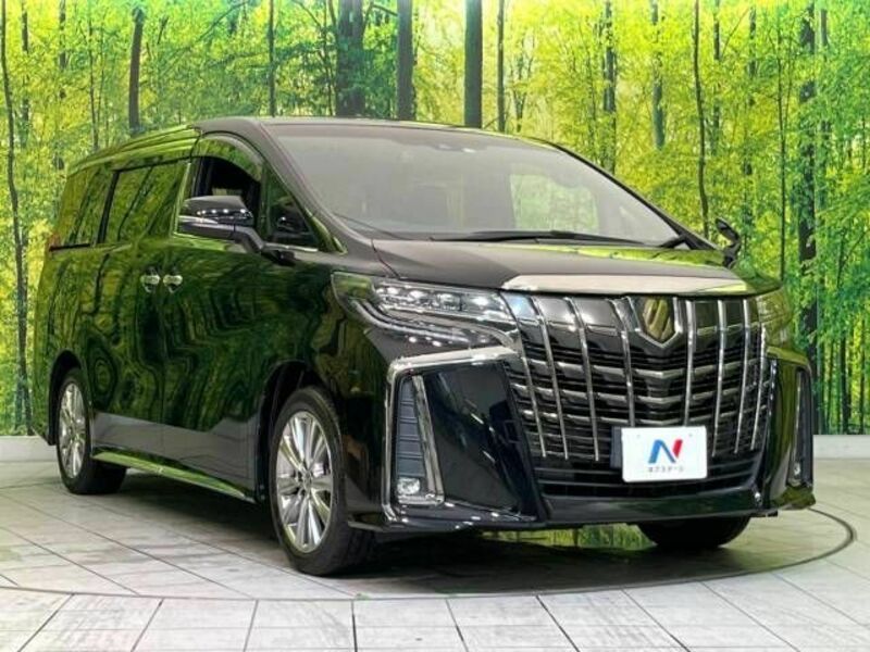 ALPHARD-16