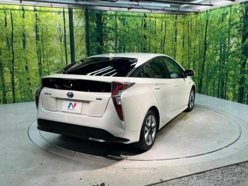 PRIUS-17