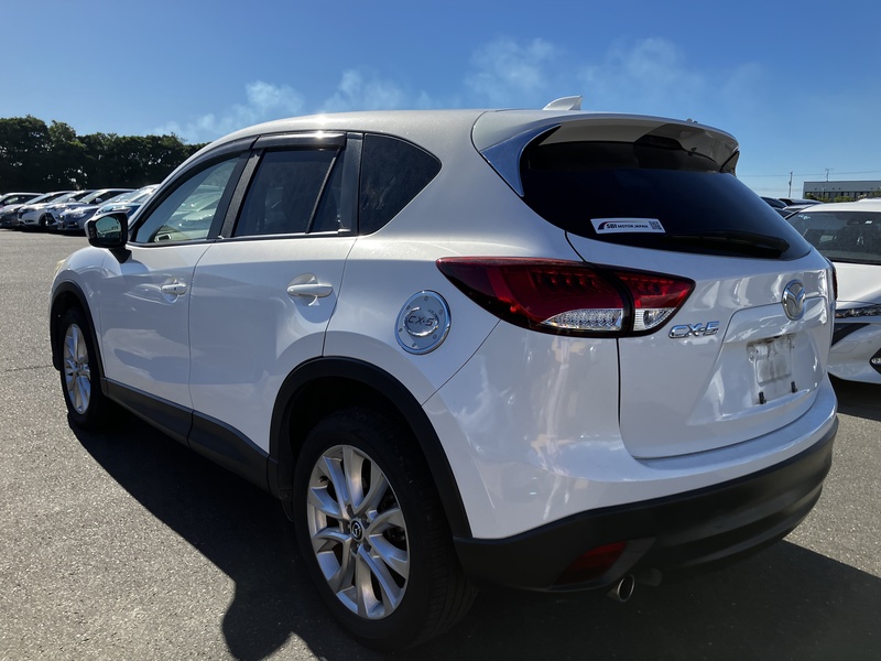 CX-5-4