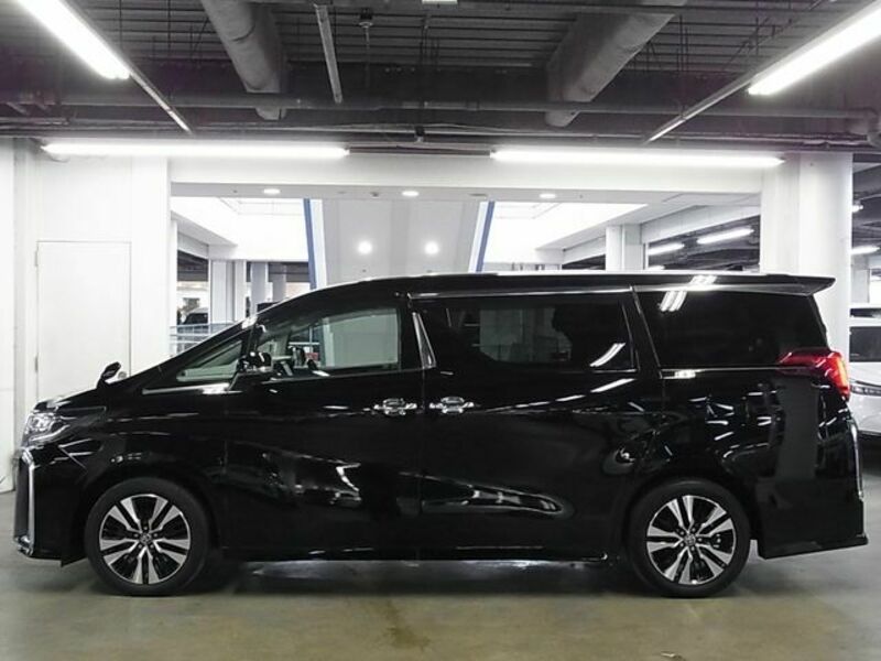 ALPHARD-8