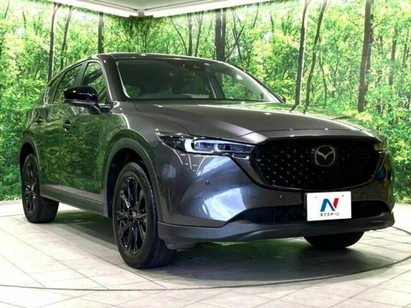 CX-5-17