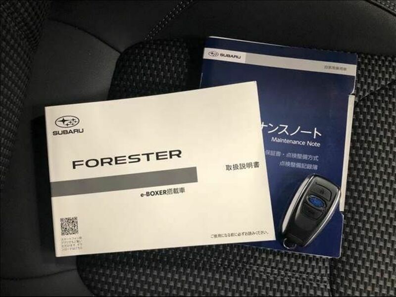 FORESTER-7