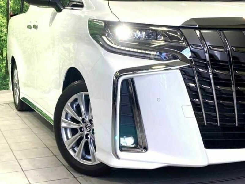 ALPHARD-13