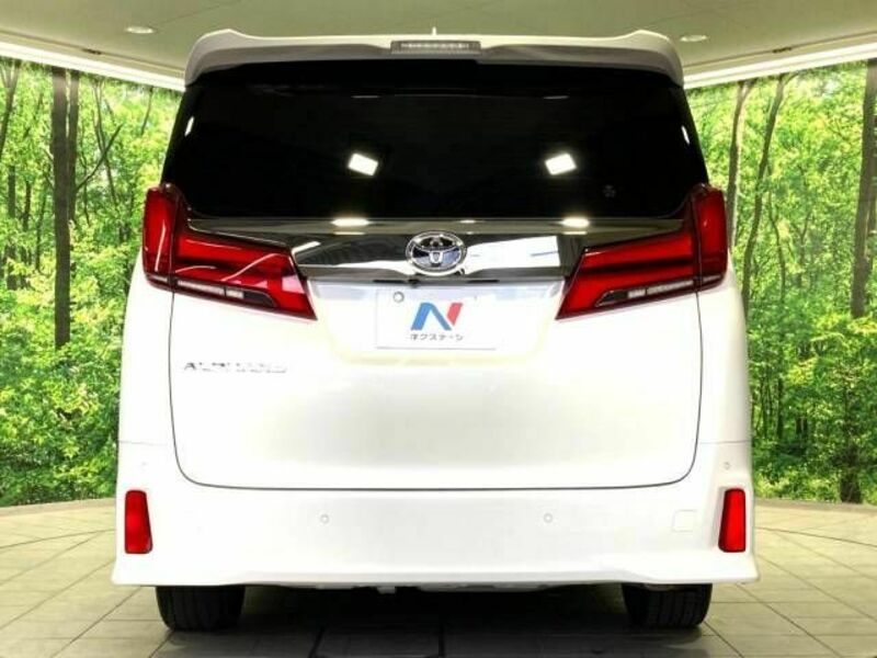 ALPHARD-16