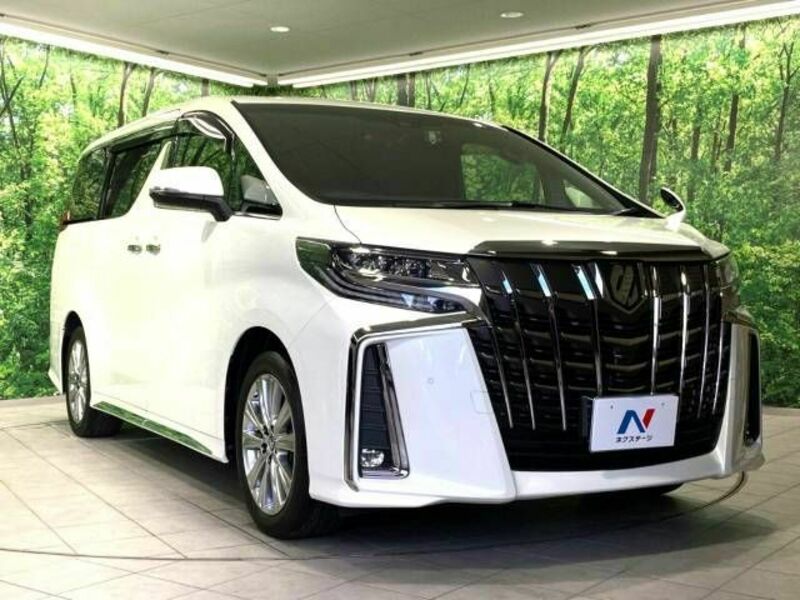 ALPHARD-17