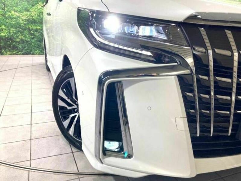 ALPHARD-13