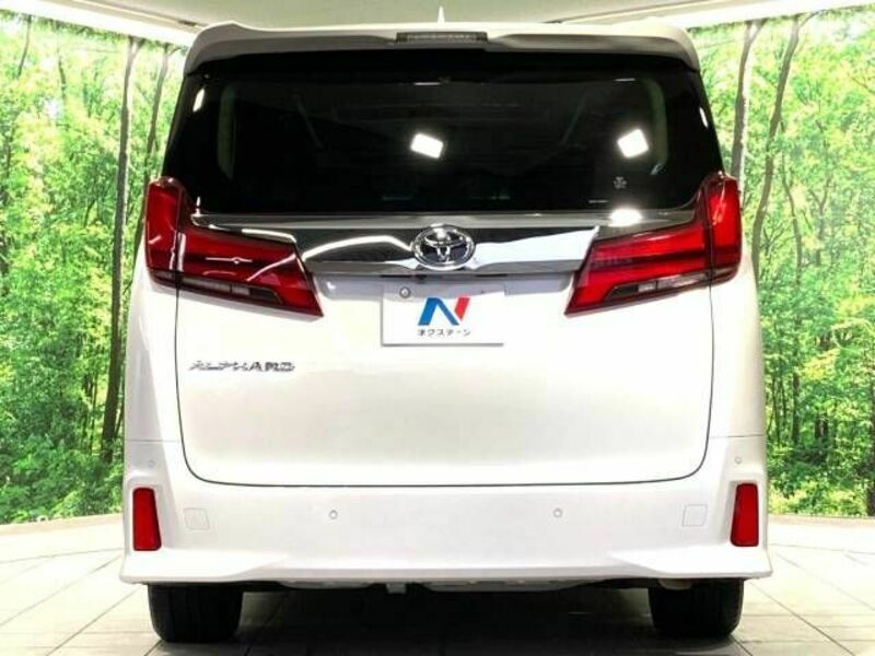 ALPHARD-16