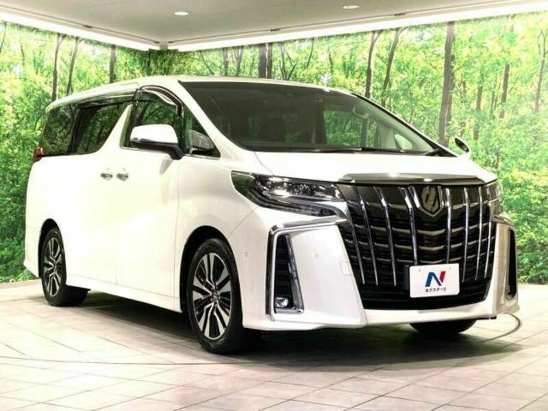 ALPHARD-17