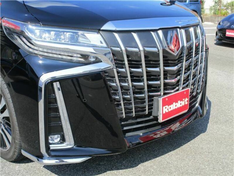 ALPHARD-3