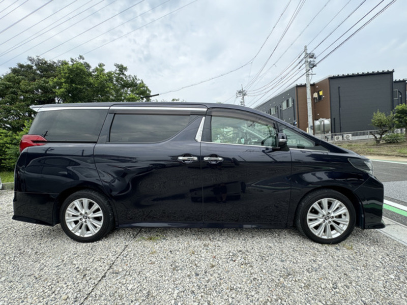 ALPHARD-6