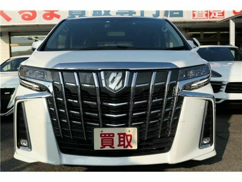 ALPHARD-4