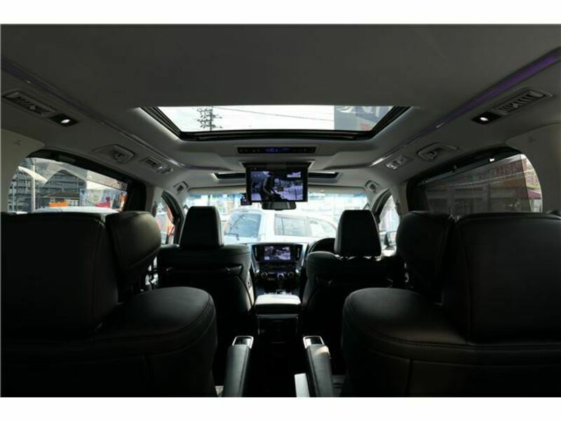 ALPHARD-22