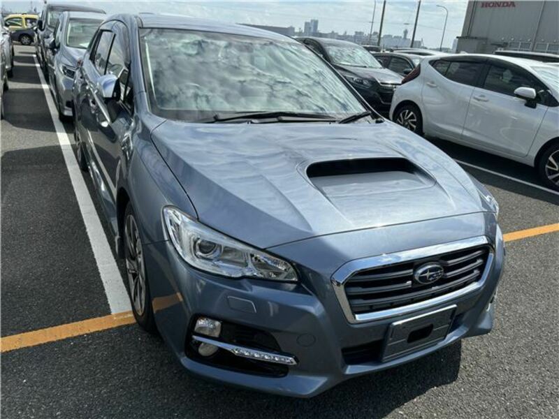 LEVORG-1