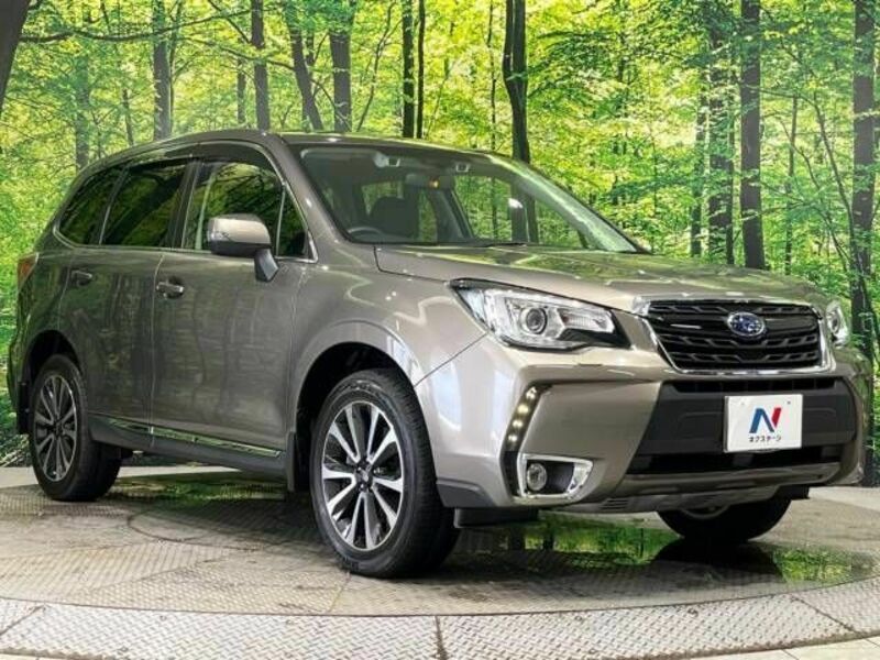 FORESTER-16