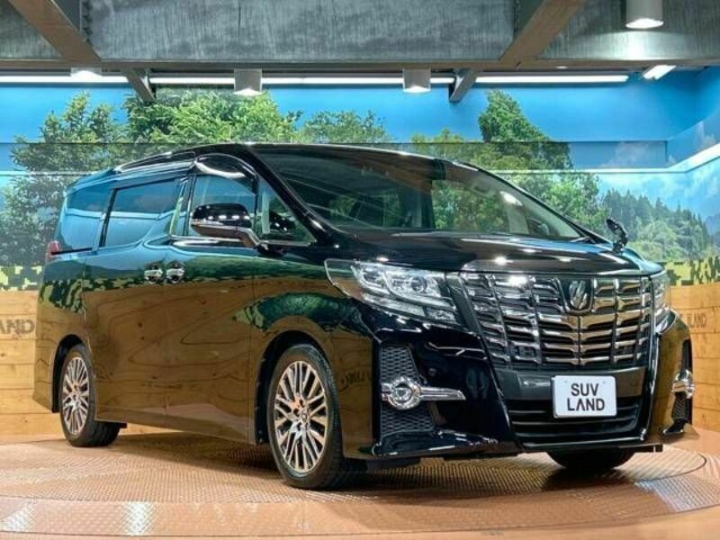 ALPHARD-16