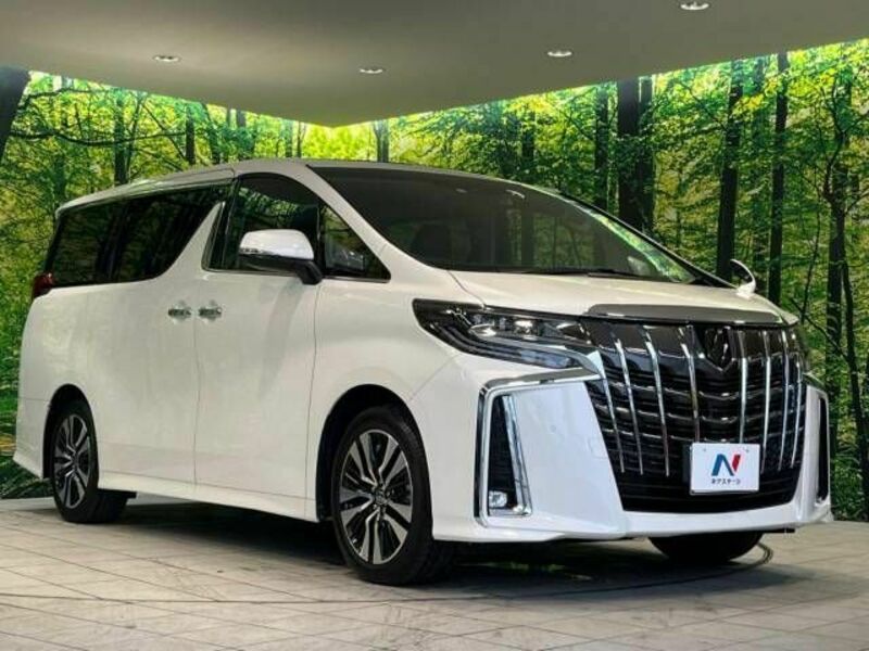 ALPHARD-16