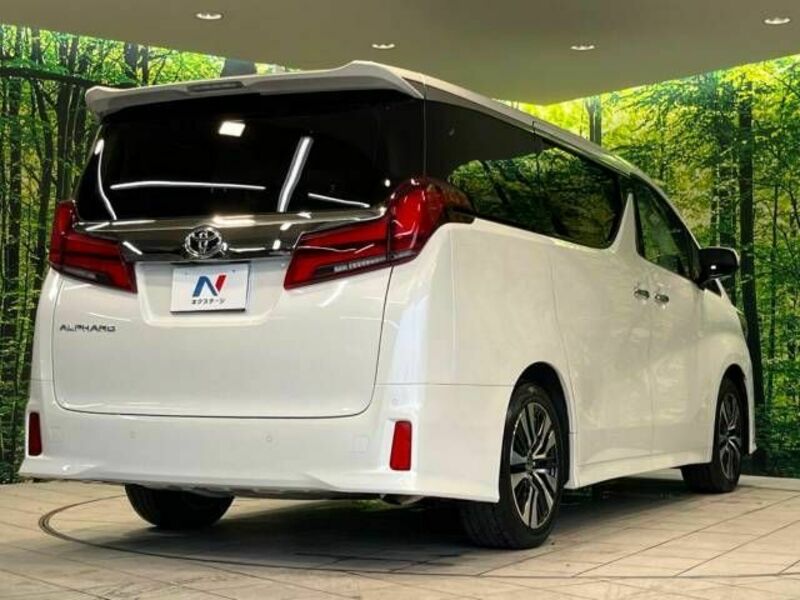 ALPHARD-17