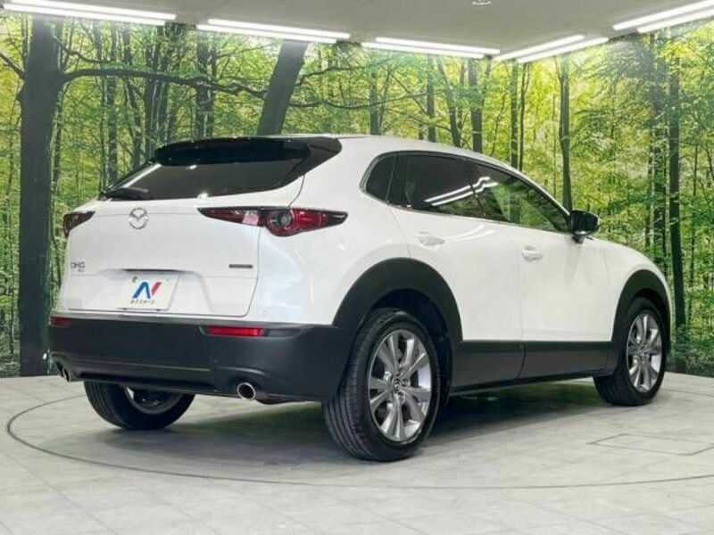 CX-30-17