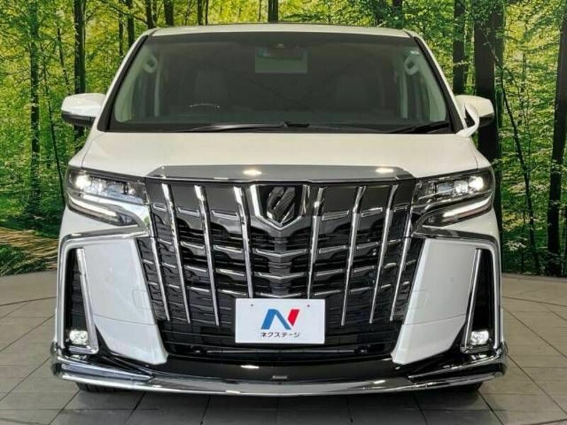 ALPHARD-15