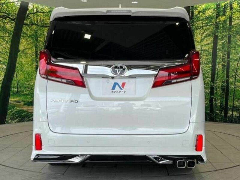 ALPHARD-16