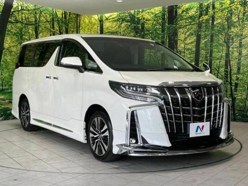 ALPHARD-17