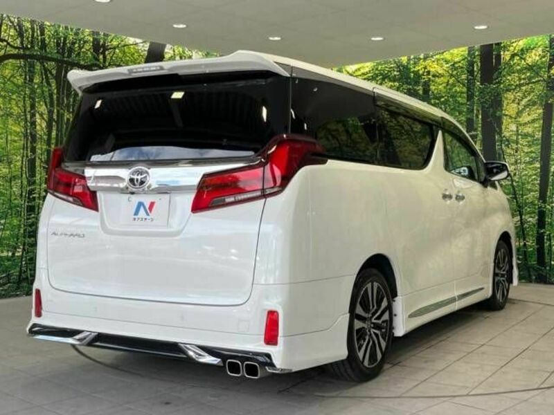 ALPHARD-18