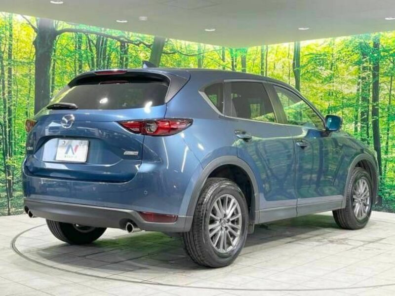 CX-5-17