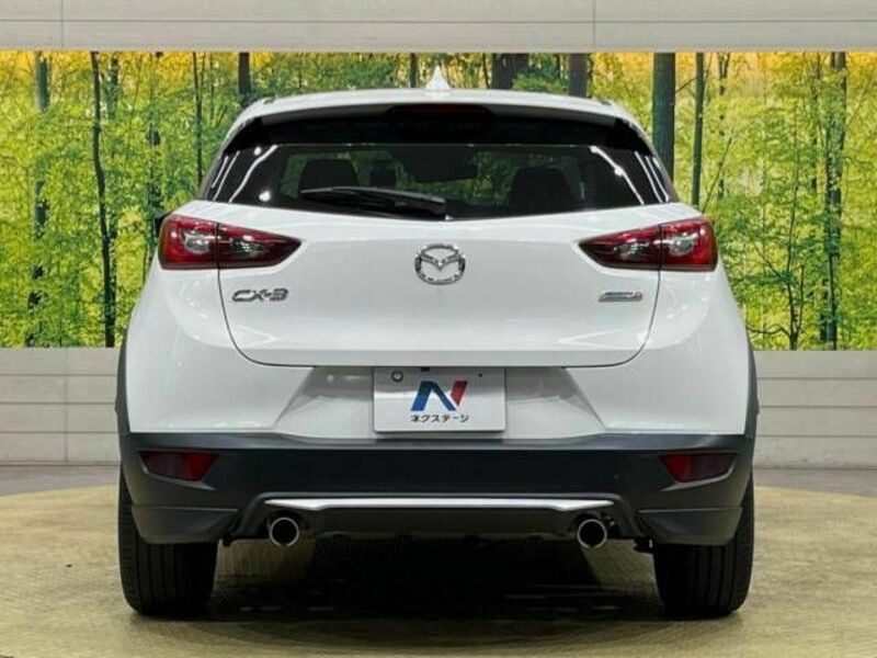 CX-3-15