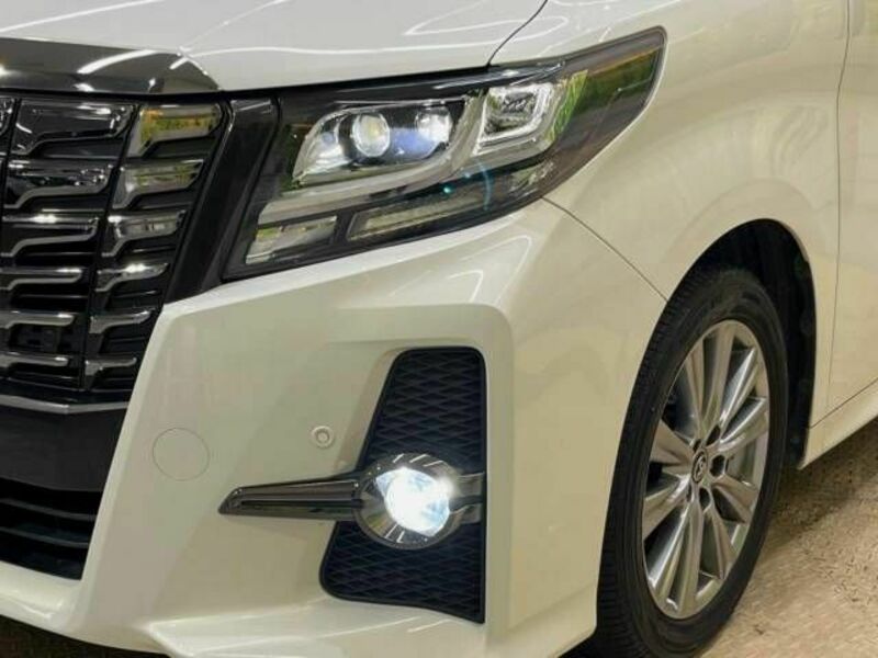 ALPHARD-13